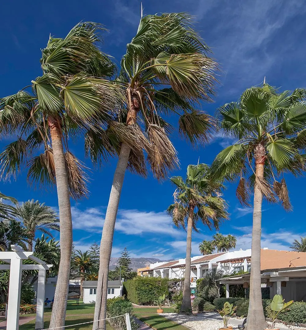 Beach Paradise Nerja